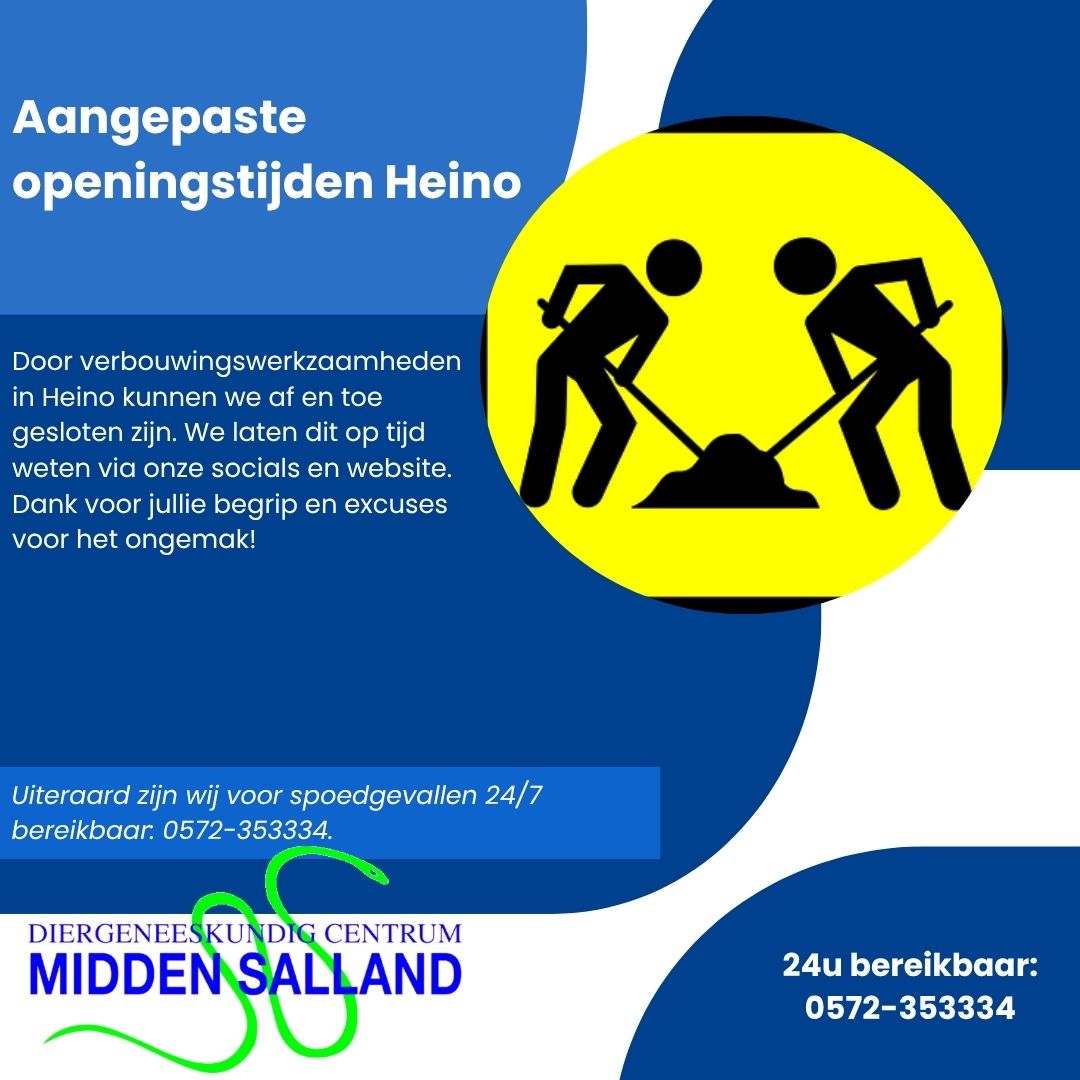 Verbouwingswerkzaamheden Heino Verbouwingswerkzaamheden Heino